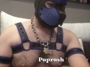 Puprush