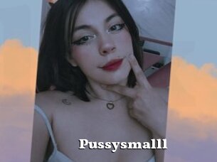Pussysmalll