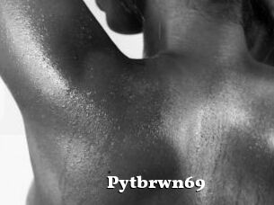 Pytbrwn69