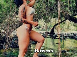 Ravens