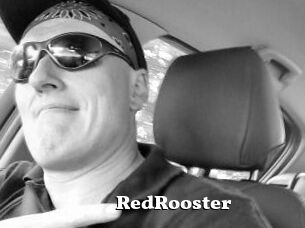 RedRooster