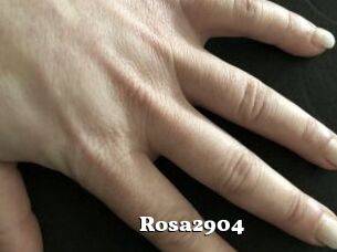 Rosa2904