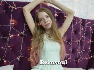 Reinsoul