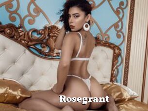 Rosegrant