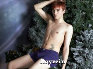 Royzein