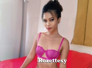 Rozettesy