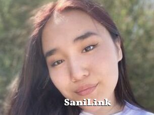 SaniLink