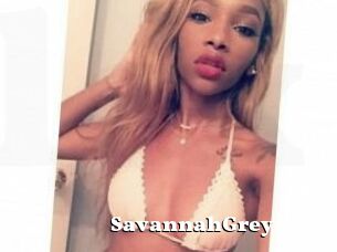 Savannah_Grey
