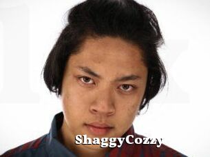 ShaggyCozzy