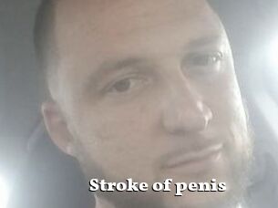 Stroke_of_penis