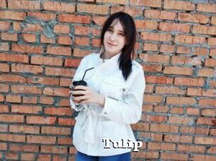 Tulip