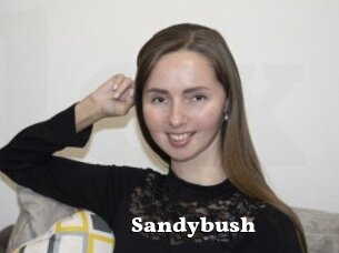 Sandybush