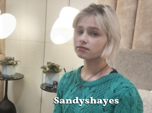 Sandyshayes