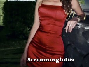 Screaminglotus