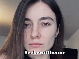 Seekeroftheone