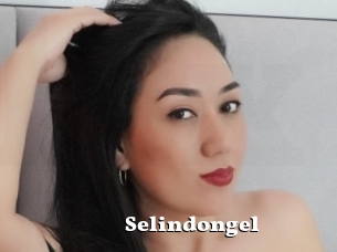 Selindongel