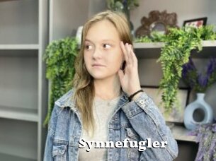 Synnefugler