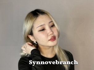 Synnovebranch