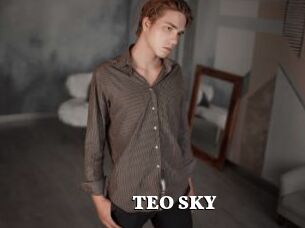 TEO_SKY