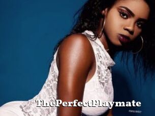 ThePerfectPlaymate