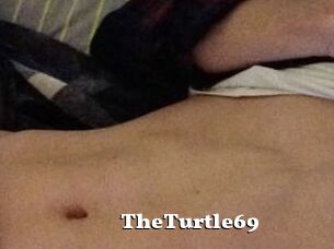 TheTurtle69
