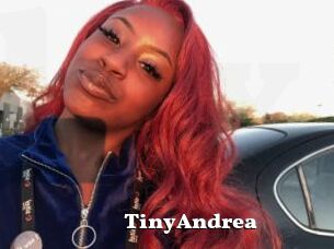 TinyAndrea