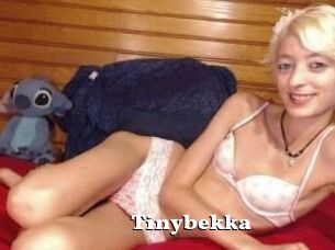 Tinybekka