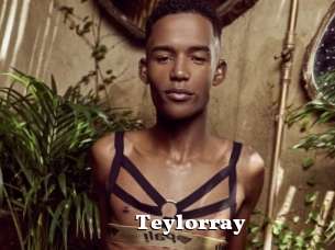Teylorray