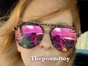 Thepoundtoy