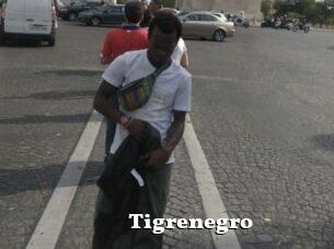 Tigrenegro