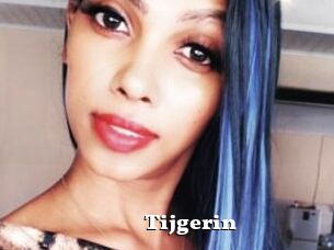 Tijgerin