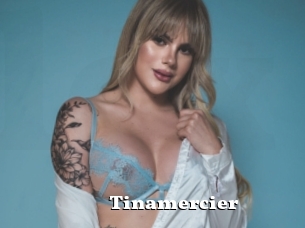 Tinamercier