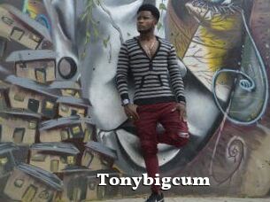 Tonybigcum