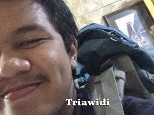 Triawidi