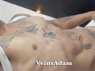 VeinsAdam