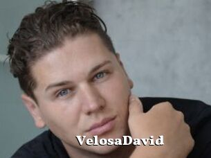 VelosaDavid