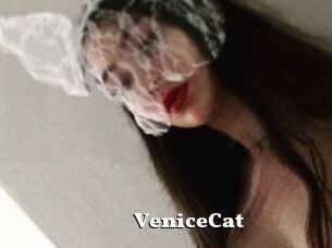 VeniceCat