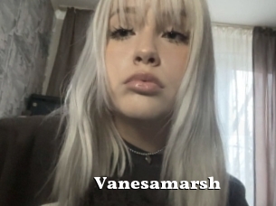 Vanesamarsh