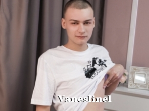 Vaneslinel