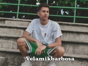 Velamikbarbosa