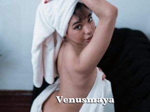 Venusmaya