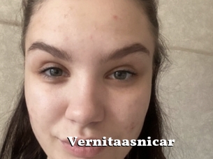 Vernitaasnicar