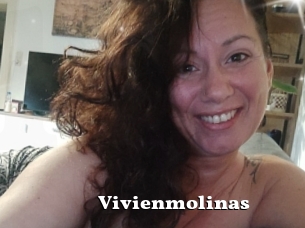 Vivienmolinas