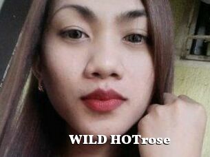 WILD_HOTrose