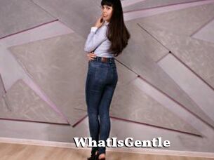WhatIsGentle