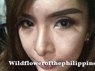 Wildflowerofthephilippines
