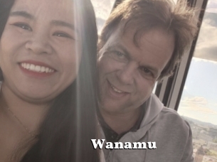 Wanamu