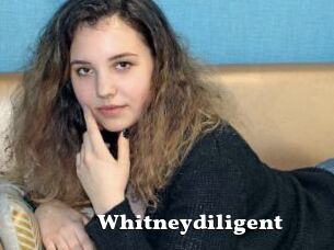 Whitneydiligent