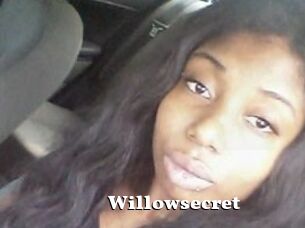 Willow_secret