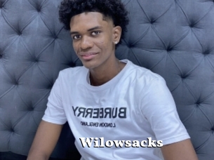 Wilowsacks